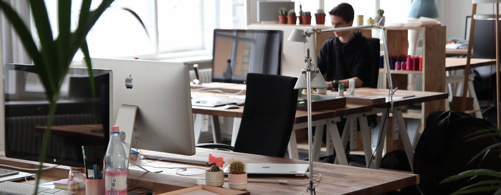 Full Stack Web Developer